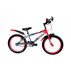 BSA Go biking 20 T New Edition