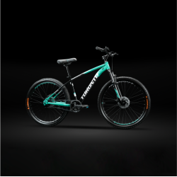 FRASER 24" Single Speed